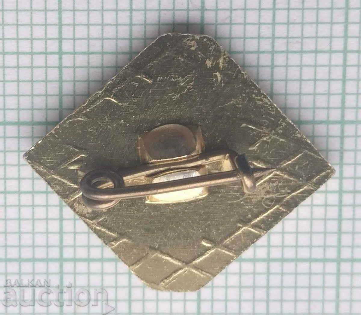 Delivery of 15011 Badge Delivery of 15011 Badge