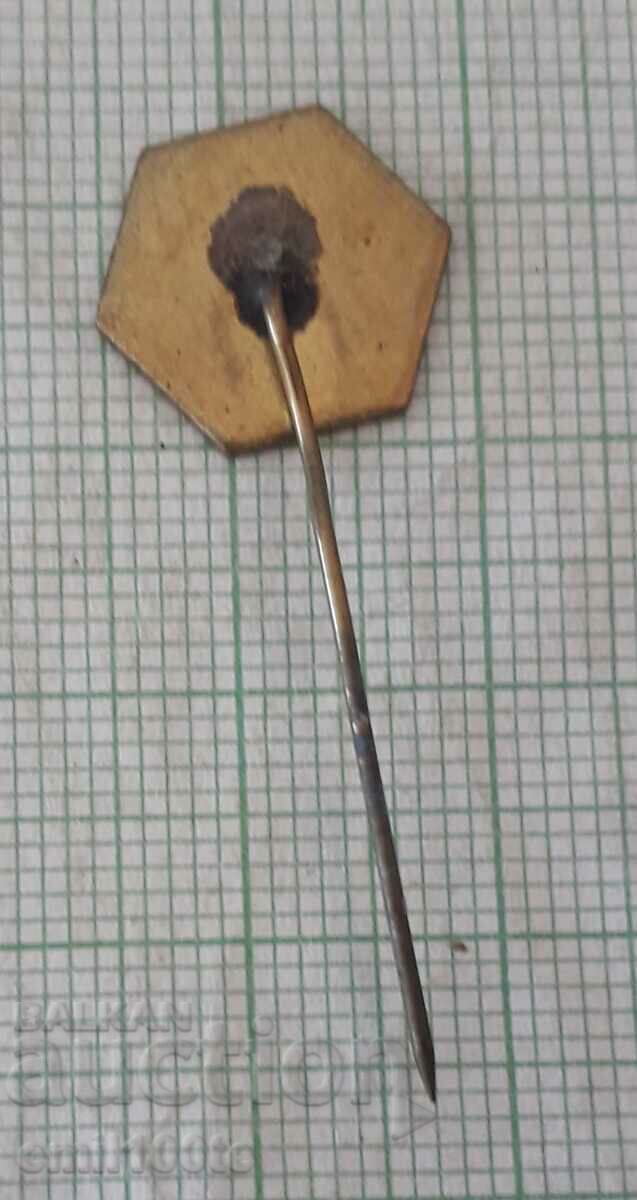 Delivery of Badge - Industrial Bulgaria Delivery of Badge - Industrial Bulgaria