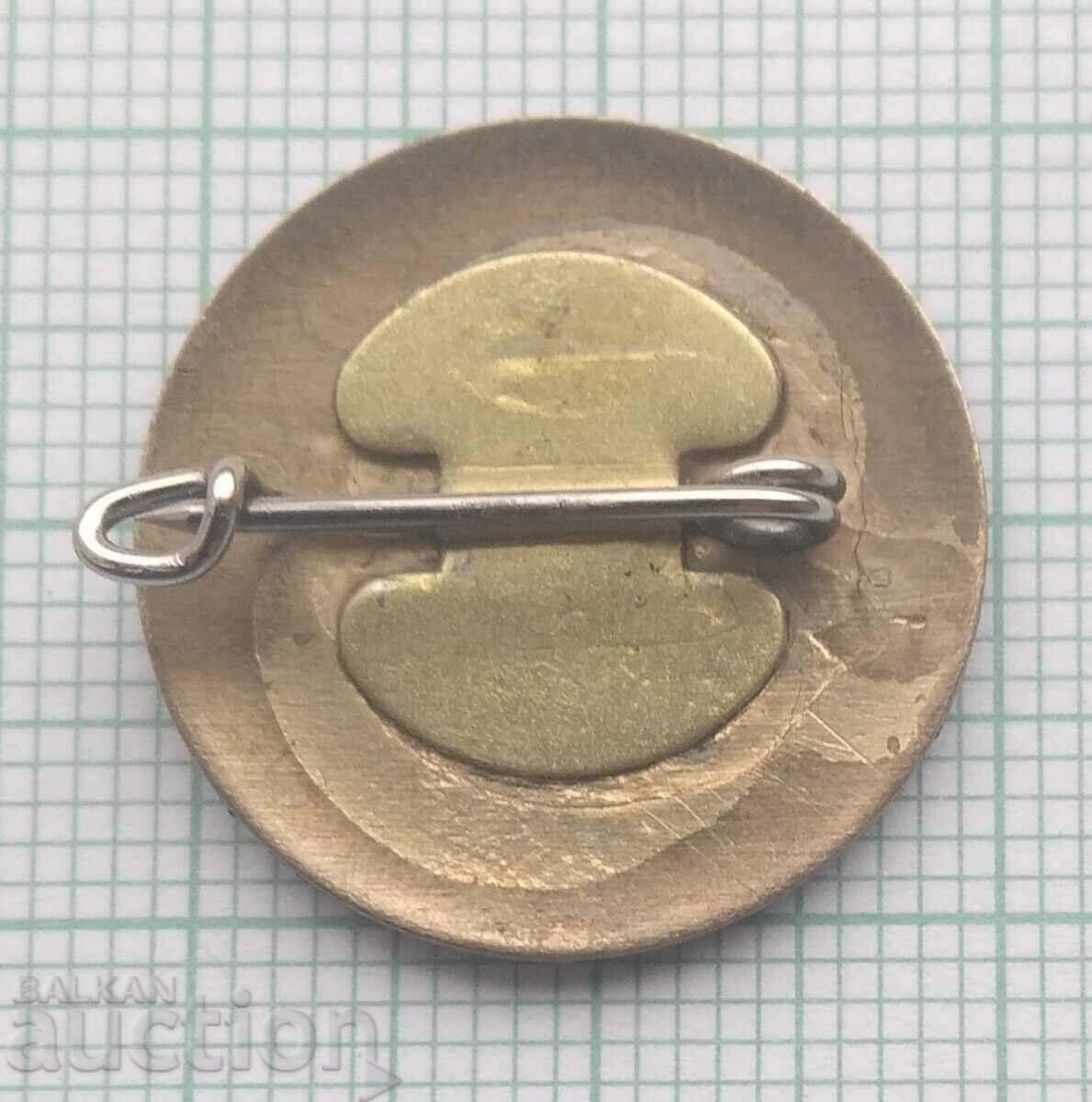 Auction 15017 Badge - 20 years SMK Leonid Brezhnev Auction 15017 Badge - 20 years SMK Leonid Brezhnev