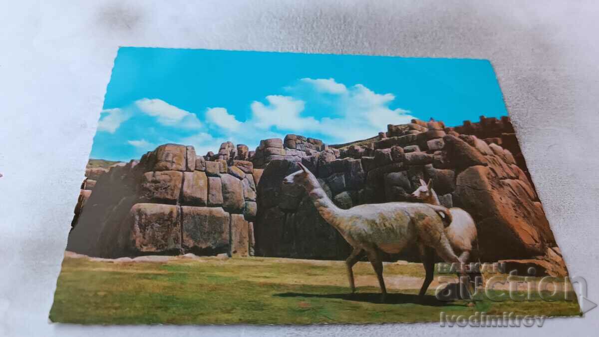 Carte poștală Cuzco