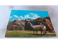 Postcard Cuzco