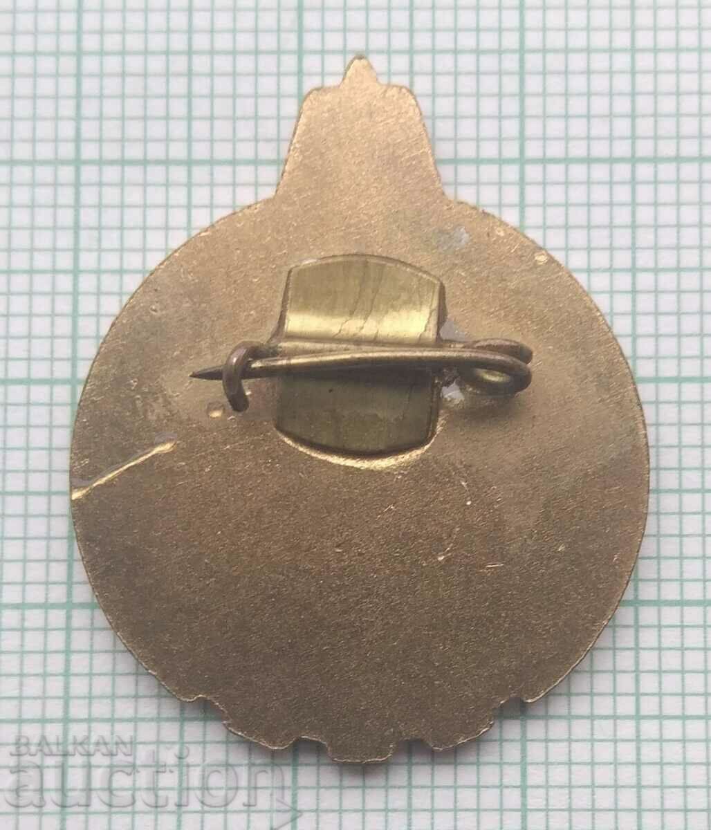 Delivery of 15035 Badge - Eternal friendship NRB USSR Delivery of 15035 Badge - Eternal friendship NRB USSR