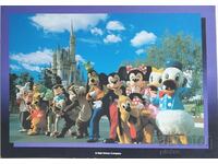 Carte poştală. Tokyo Disneyland Japonia. Dis...