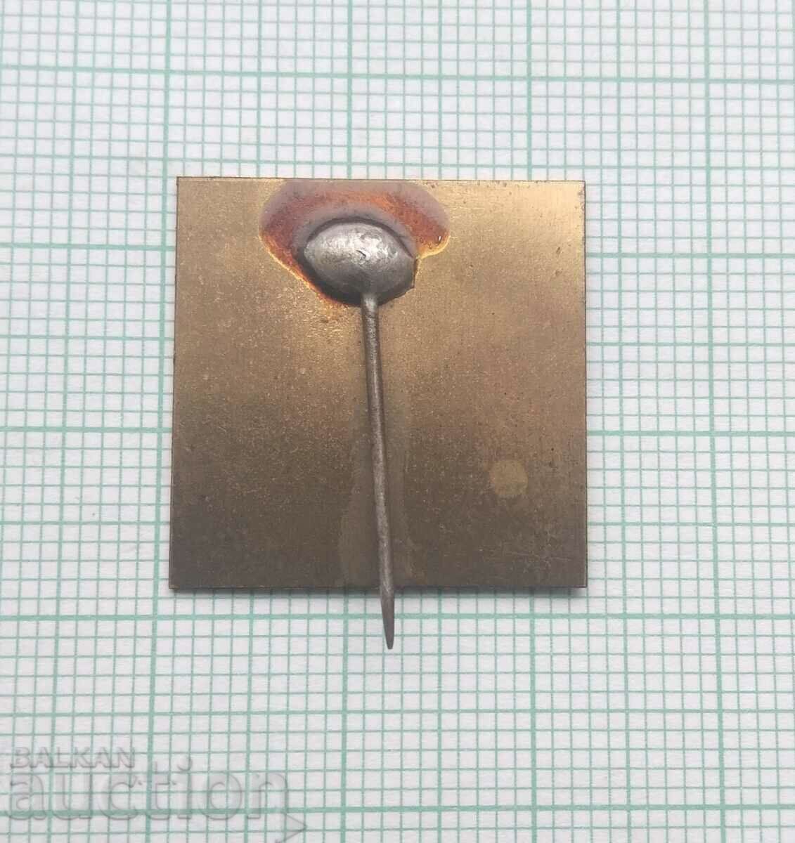 15051 Badge - Report of the 6th Five-Year Plan with price 5.00 BGN | € 2.56