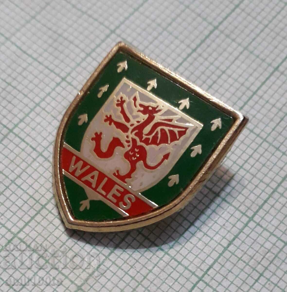 Badge - Football Association of Wales with price 7.00 BGN | € 3.58 Badge - Football Association of Wales with price 7.00 BGN | € 3.58