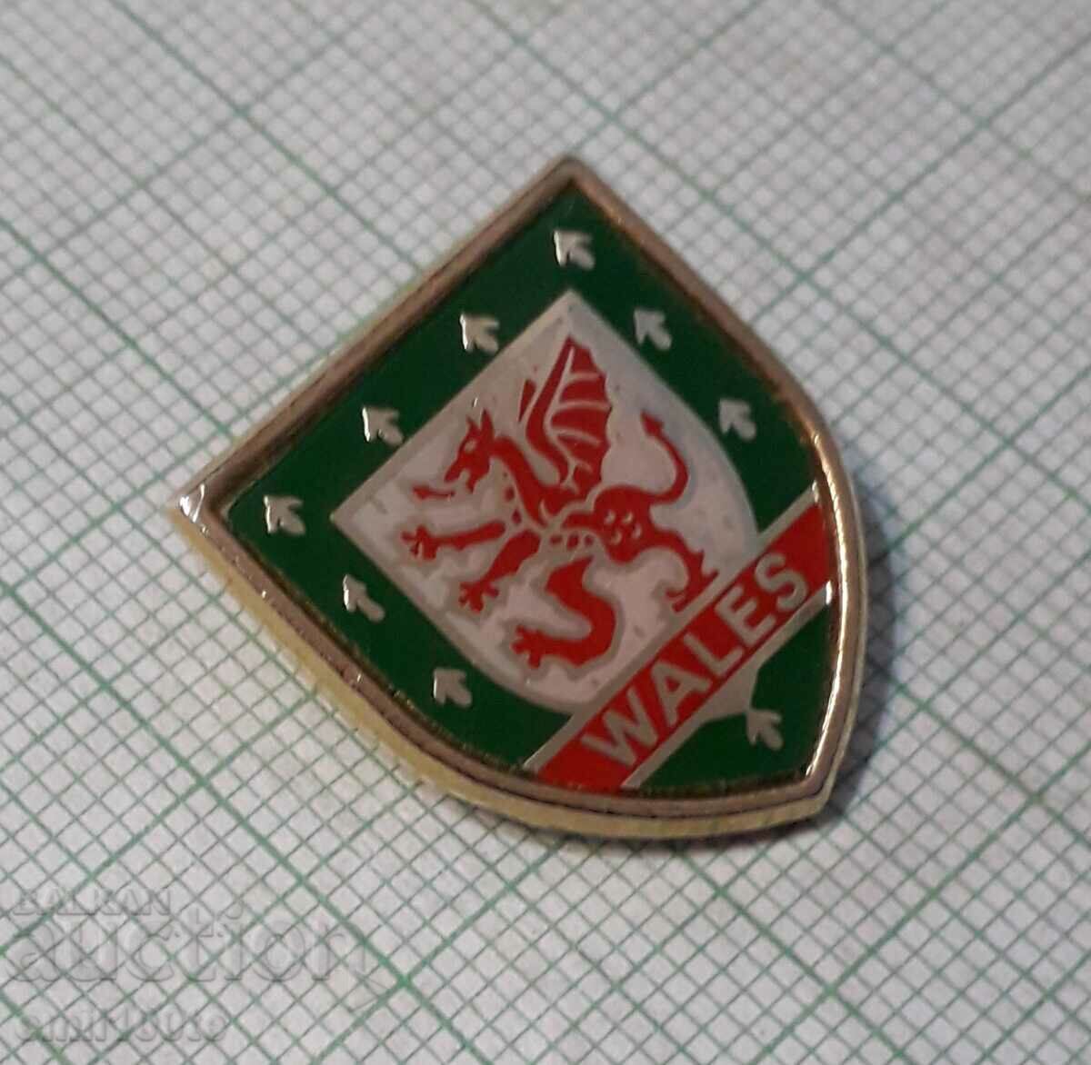 Auction Badge - Football Association of Wales Auction Badge - Football Association of Wales
