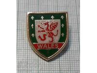 Значка- Федерация по футбол на Уелс