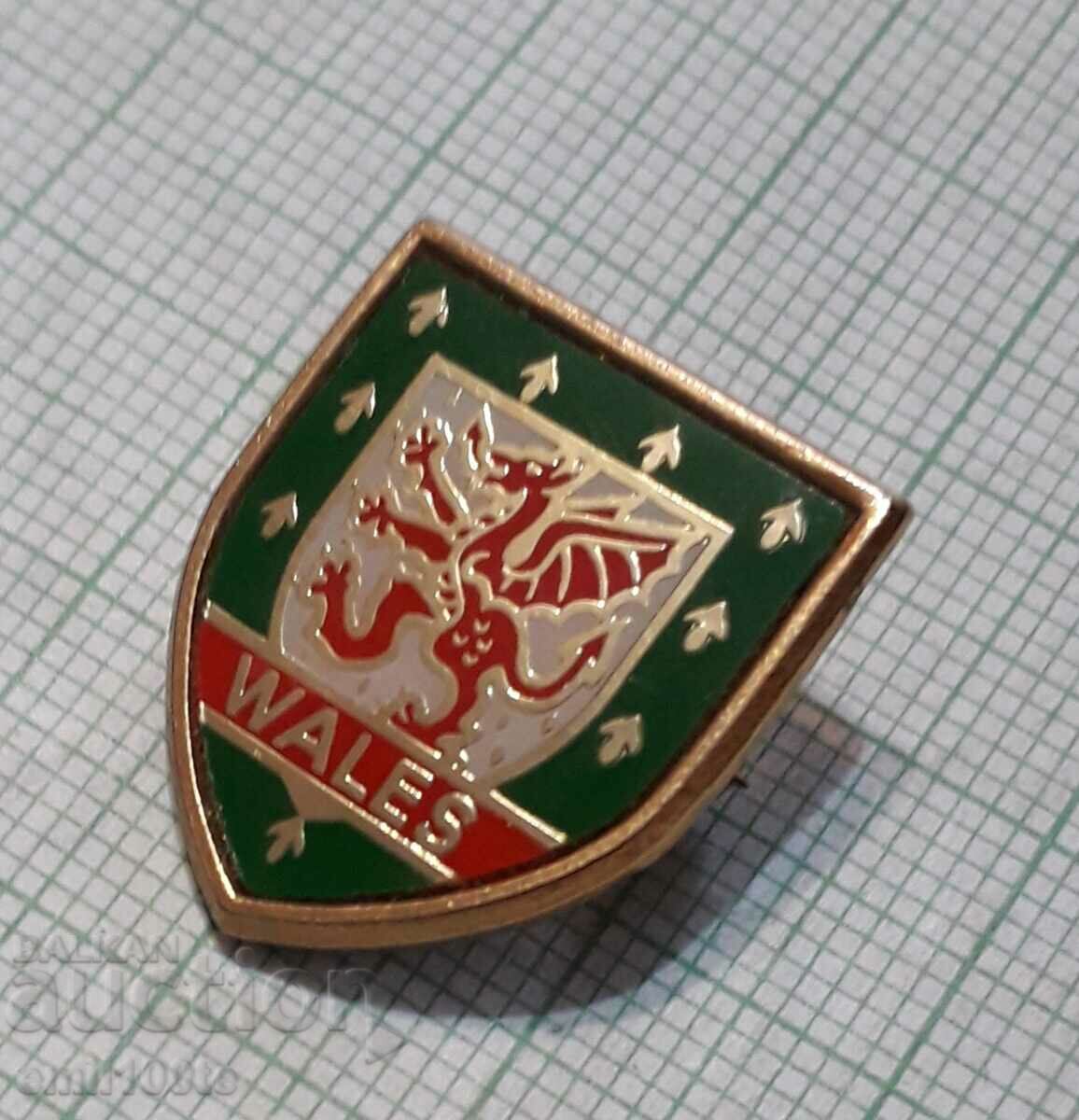 Badge - Football Association of Wales with price 7.00 BGN | € 3.58 Badge - Football Association of Wales with price 7.00 BGN | € 3.58