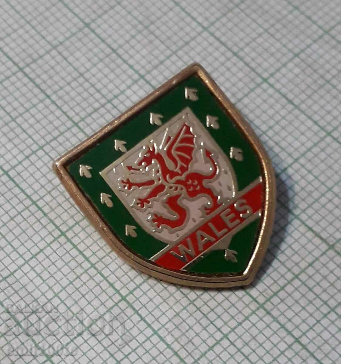 Auction Badge - Football Association of Wales Auction Badge - Football Association of Wales