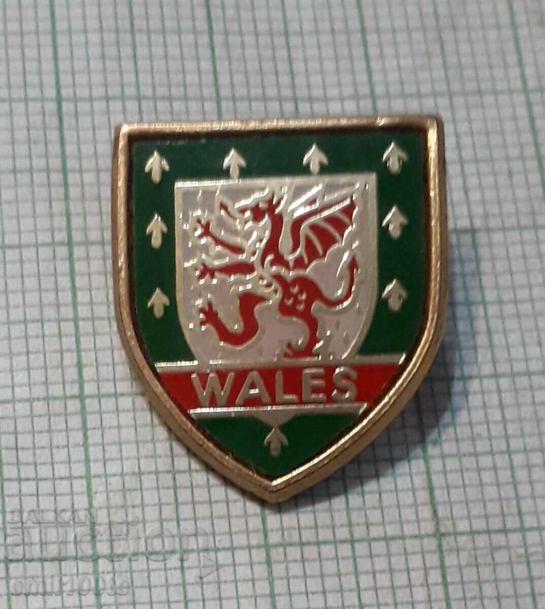 Значка- Федерация по футбол на Уелс