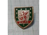 Insigna - Asociația de Fotbal din Țara Galilor