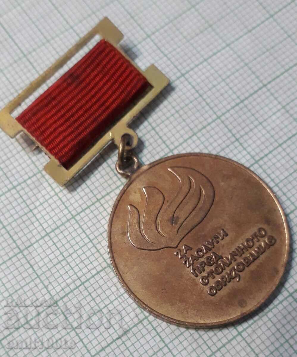 Auction Badge - For services to metropolitan education Auction Badge - For services to metropolitan education