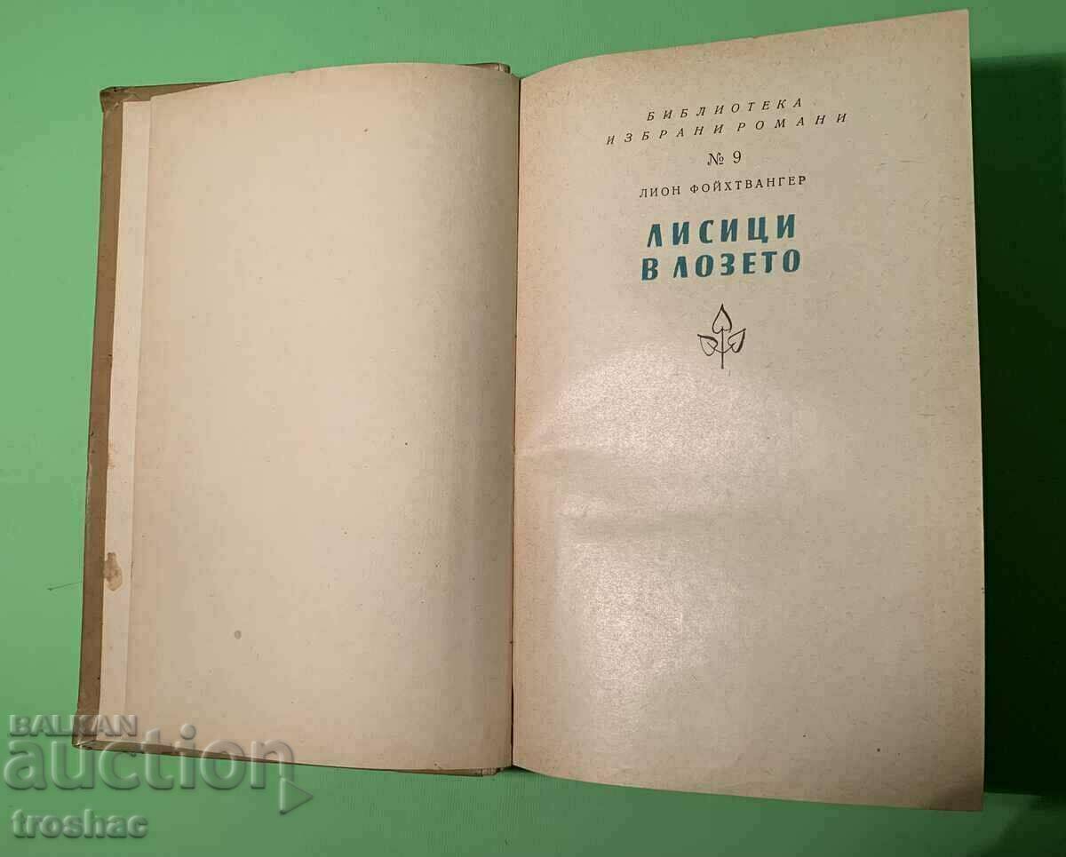 Old Book Foxes in the Vineyard 1961 - 6 Old Book Foxes in the Vineyard 1961 - 6
