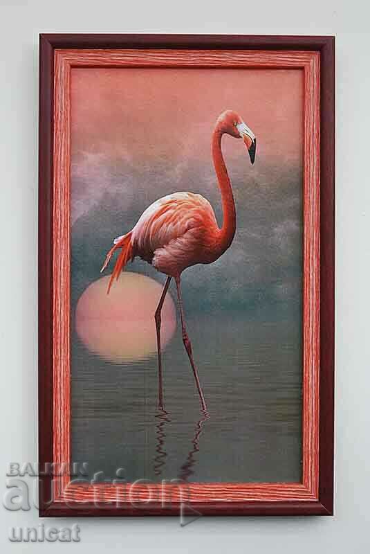 Pink flamingo, picture