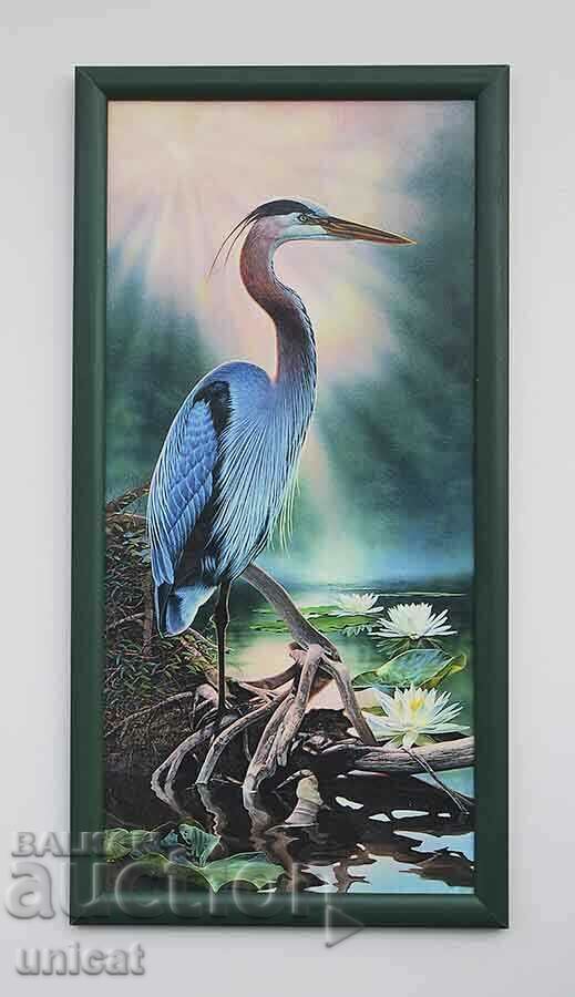 Blue heron with water lilies, picture