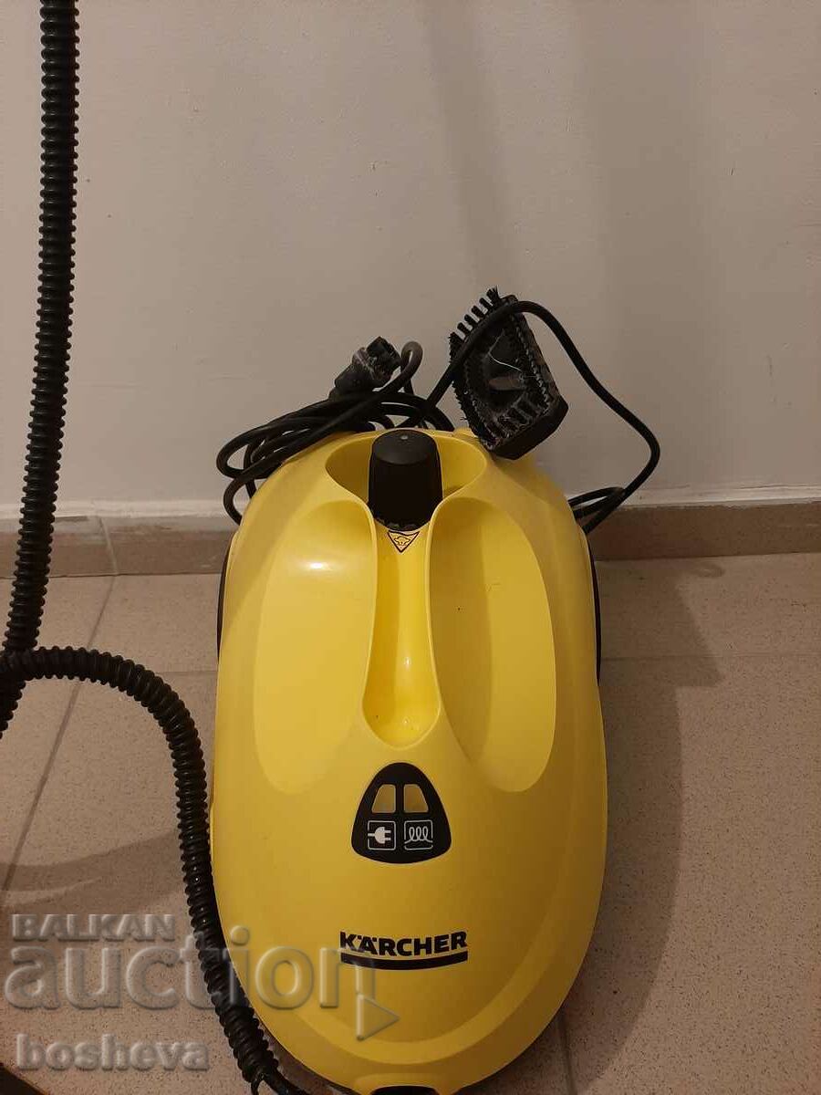 Steam cleaner for sale