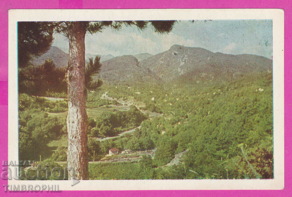 Auction 308766 / Kostenets Letovishte "Georgi Dimitrov" Panorama Auction 308766 / Kostenets Letovishte "Georgi Dimitrov" Panorama