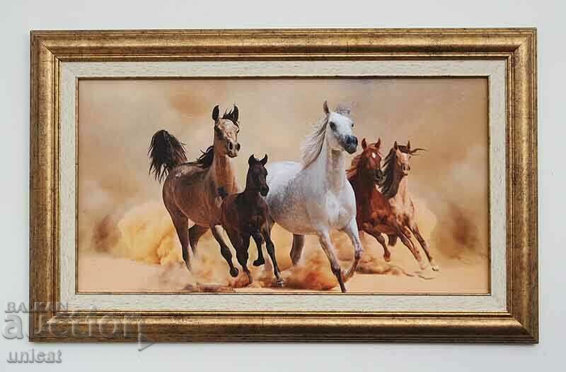 Horses, picture