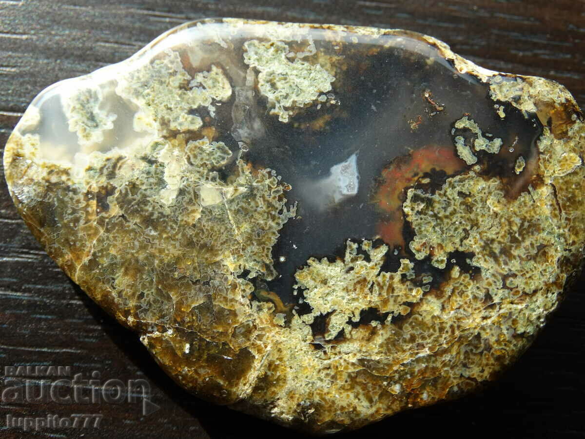 257 ct natural moss agate with carnelian with price 95.00 BGN | € 48.57 257 ct natural moss agate with carnelian with price 95.00 BGN | € 48.57