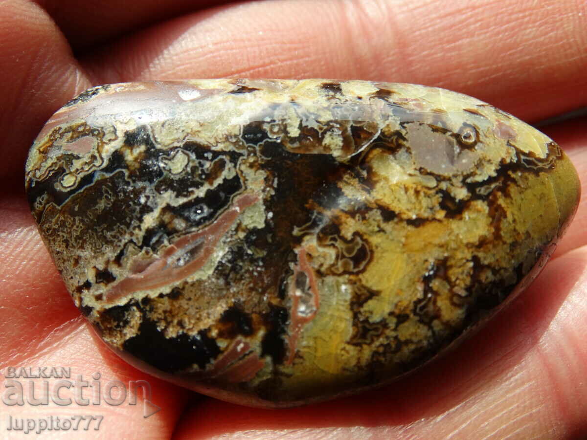 250 carat natural agate with carnelian, jasper - 7 250 carat natural agate with carnelian, jasper - 7