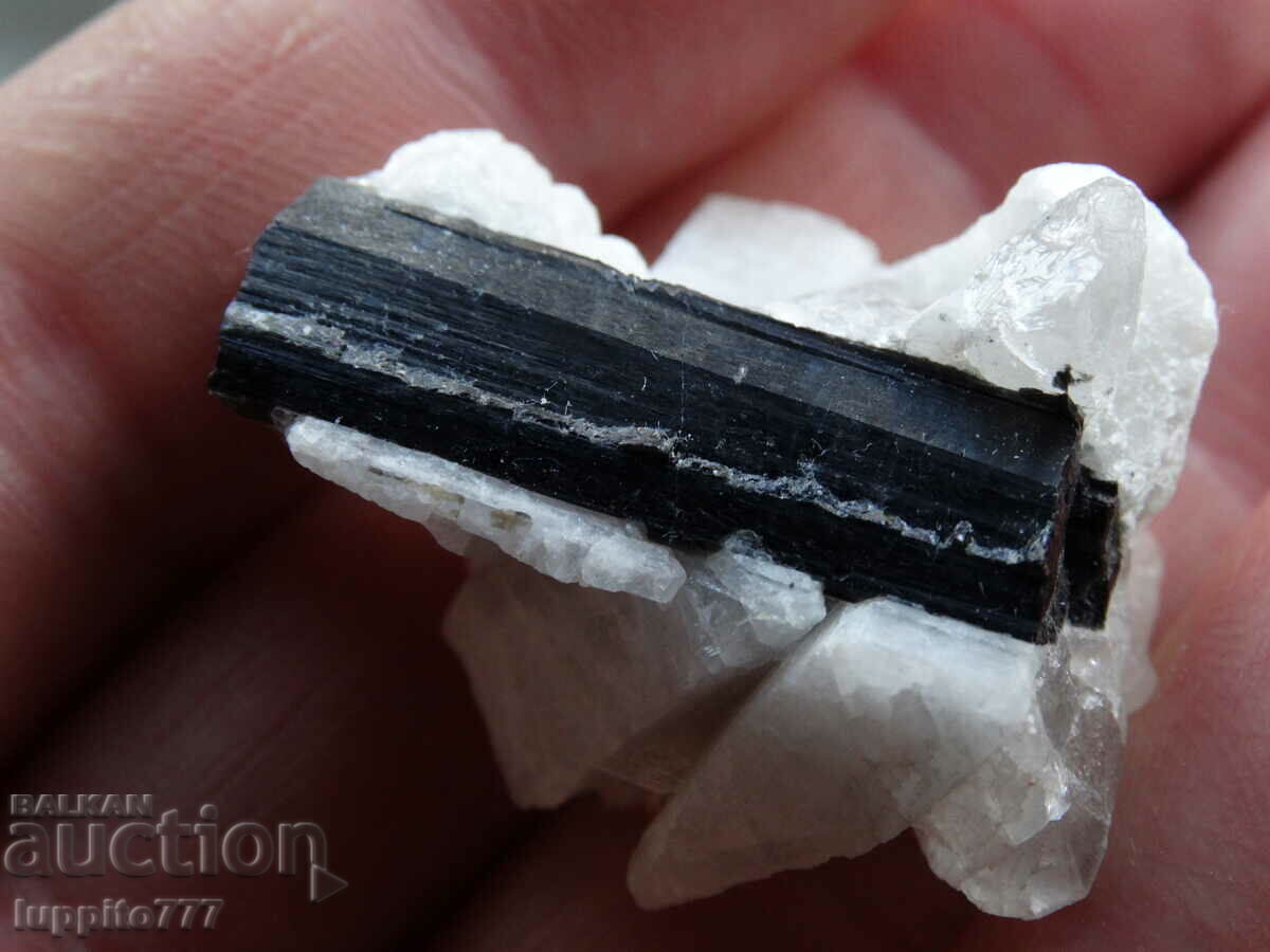 natural black tourmaline on matrix unique 20 grams with price 99.00 BGN | € 50.62 natural black tourmaline on matrix unique 20 grams with price 99.00 BGN | € 50.62
