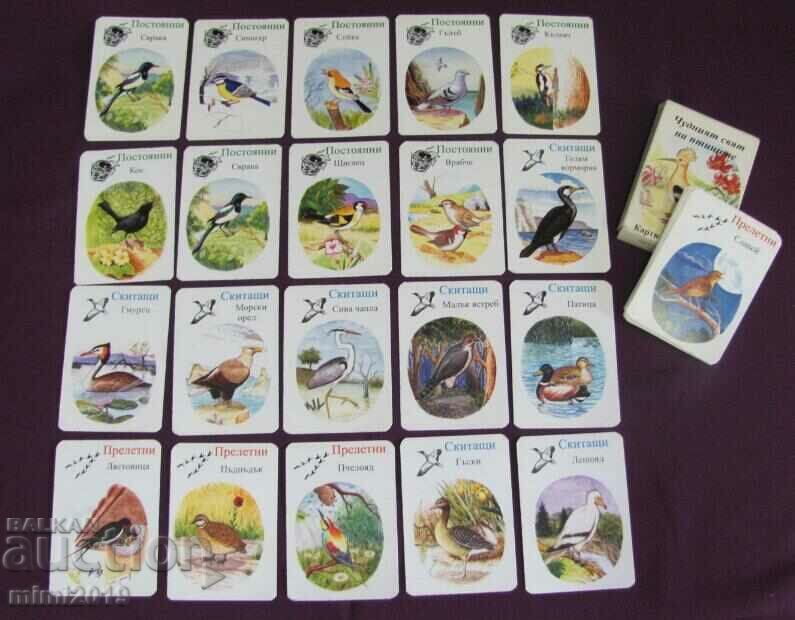 Vintich Children's Playing Cards 3 pcs. - 5