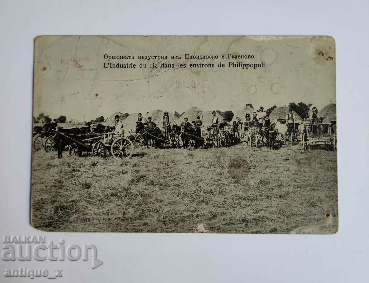 Стара царска пощенска картичка-оризната индустрия-с.Раденово