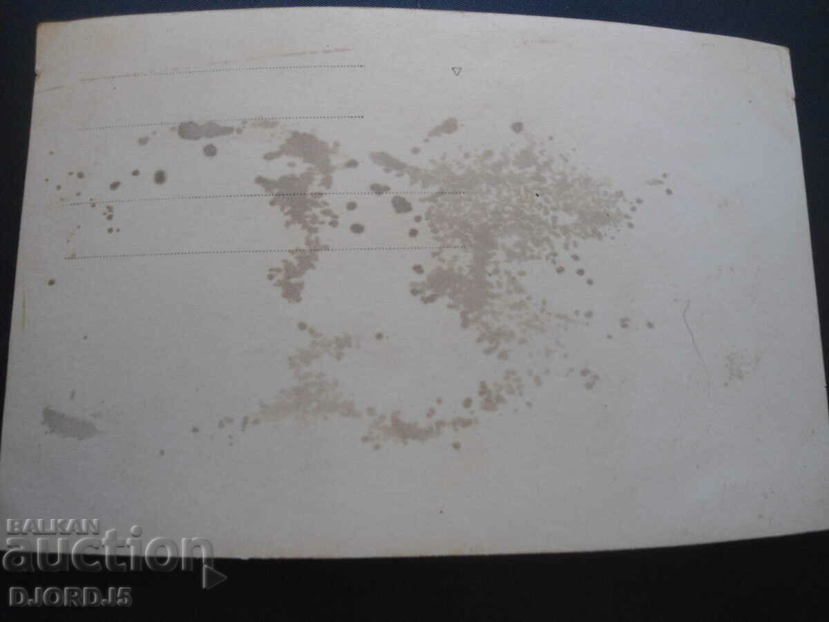 Auction General animal husbandry Auction General animal husbandry