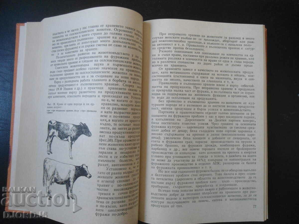 Delivery of General animal husbandry Delivery of General animal husbandry