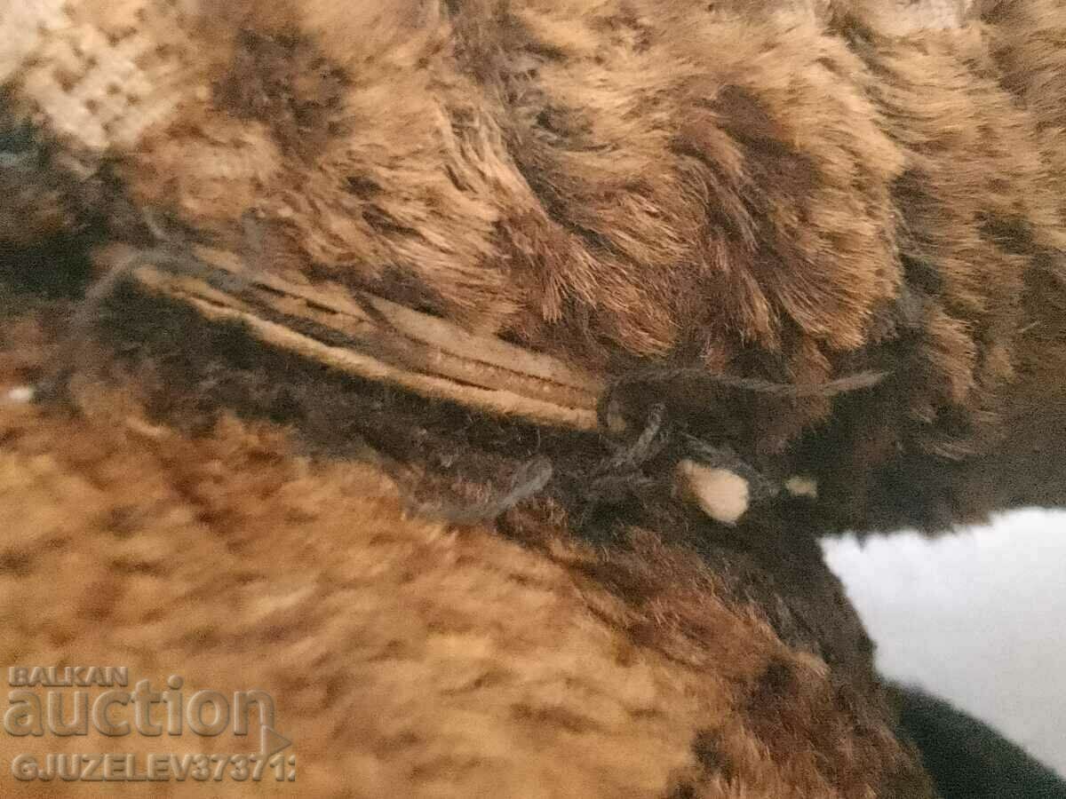 Old teddy bear stuffed with straw - 5 Old teddy bear stuffed with straw - 5