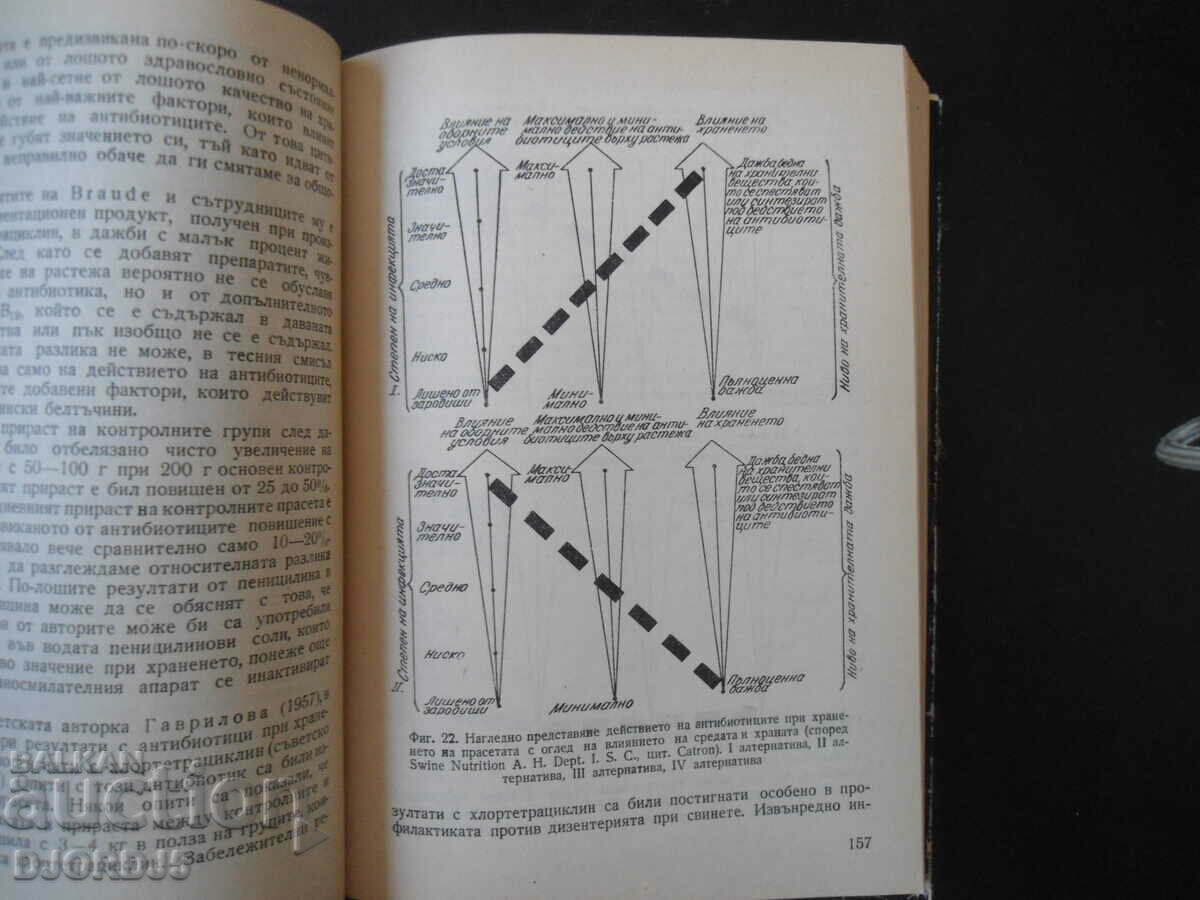 Auction Antibiotics in the feeding of farm animals Auction Antibiotics in the feeding of farm animals