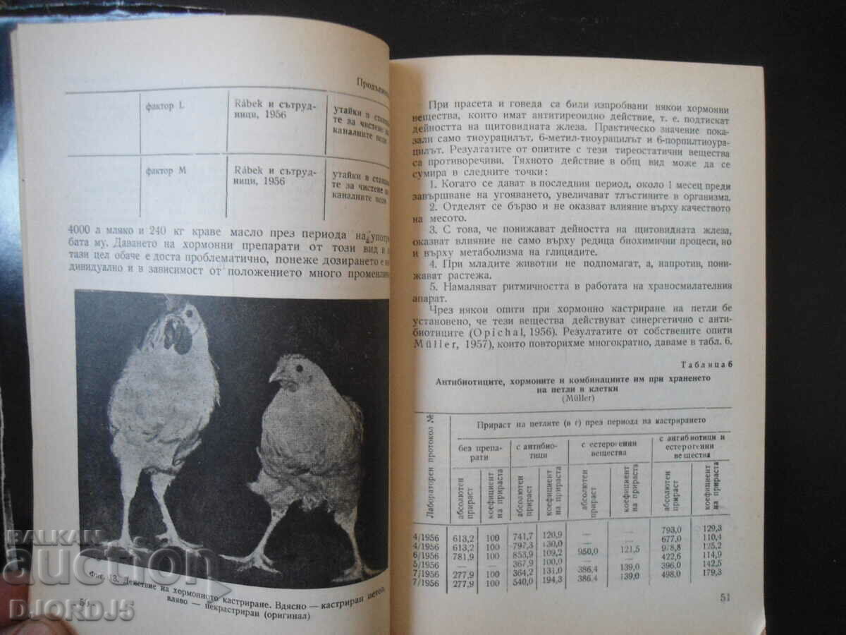 Delivery of Antibiotics in the feeding of farm animals Delivery of Antibiotics in the feeding of farm animals
