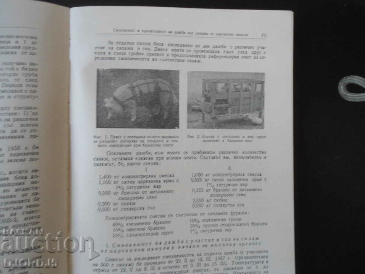 Auction  NOTICES of the Animal Husbandry Institute, Vol. 11, 1960