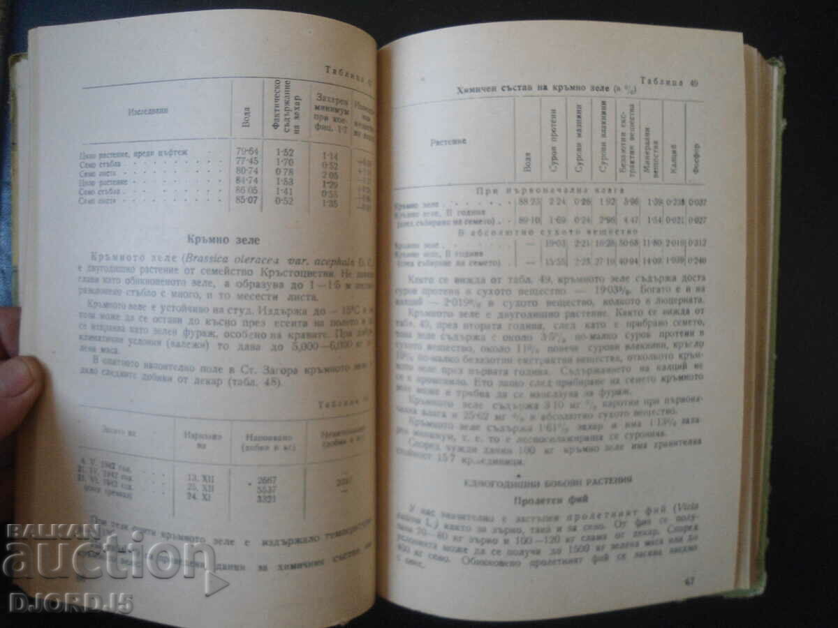 Auction Fodder in Bulgaria Auction Fodder in Bulgaria