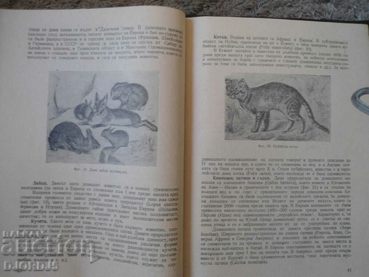 Delivery of Breeding of farm animals Delivery of Breeding of farm animals