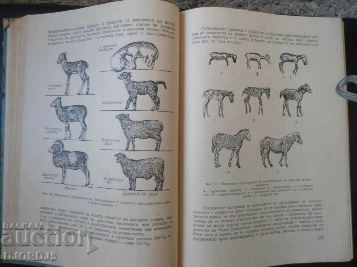 Breeding of farm animals - 5 Breeding of farm animals - 5