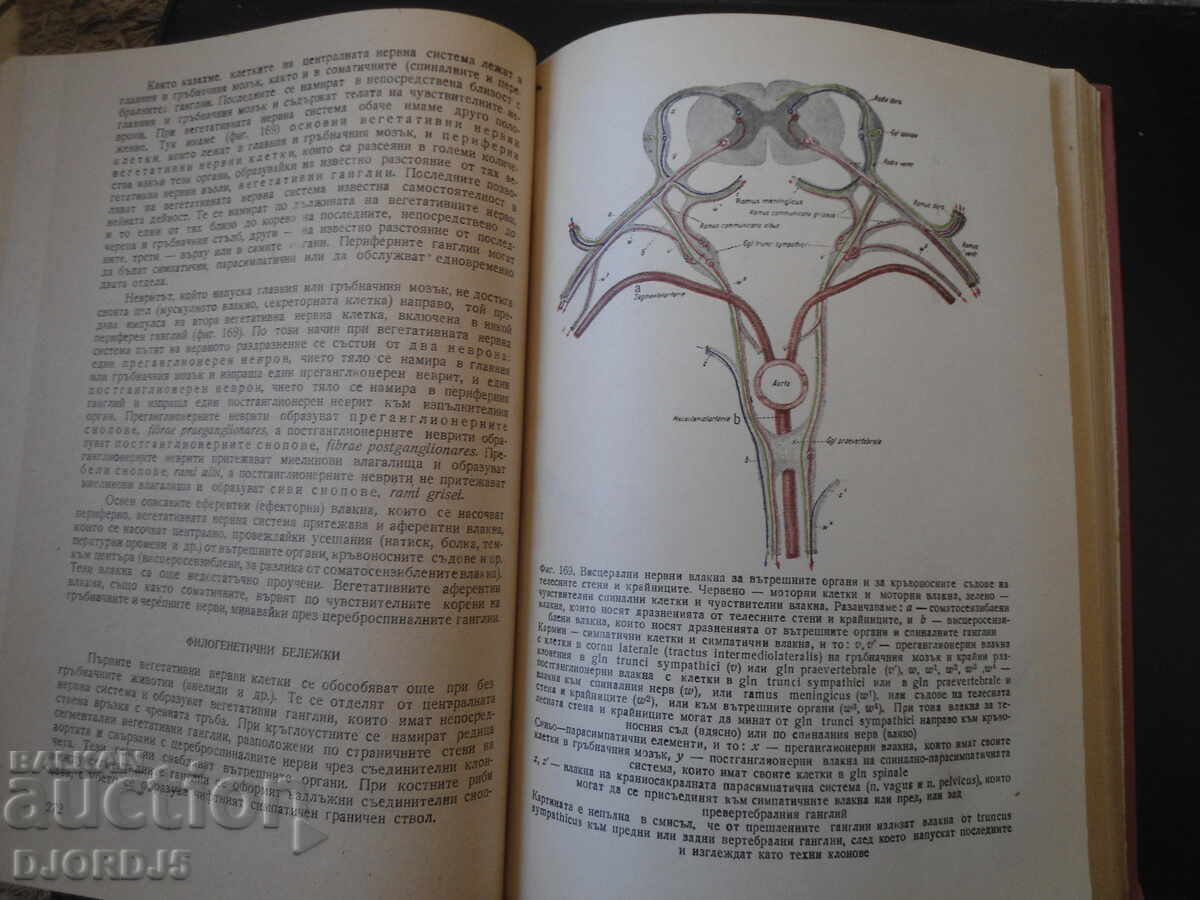 Anatomy of Domestic Animals, Volume 3 with price 9.00 BGN | € 4.60 Anatomy of Domestic Animals, Volume 3 with price 9.00 BGN | € 4.60