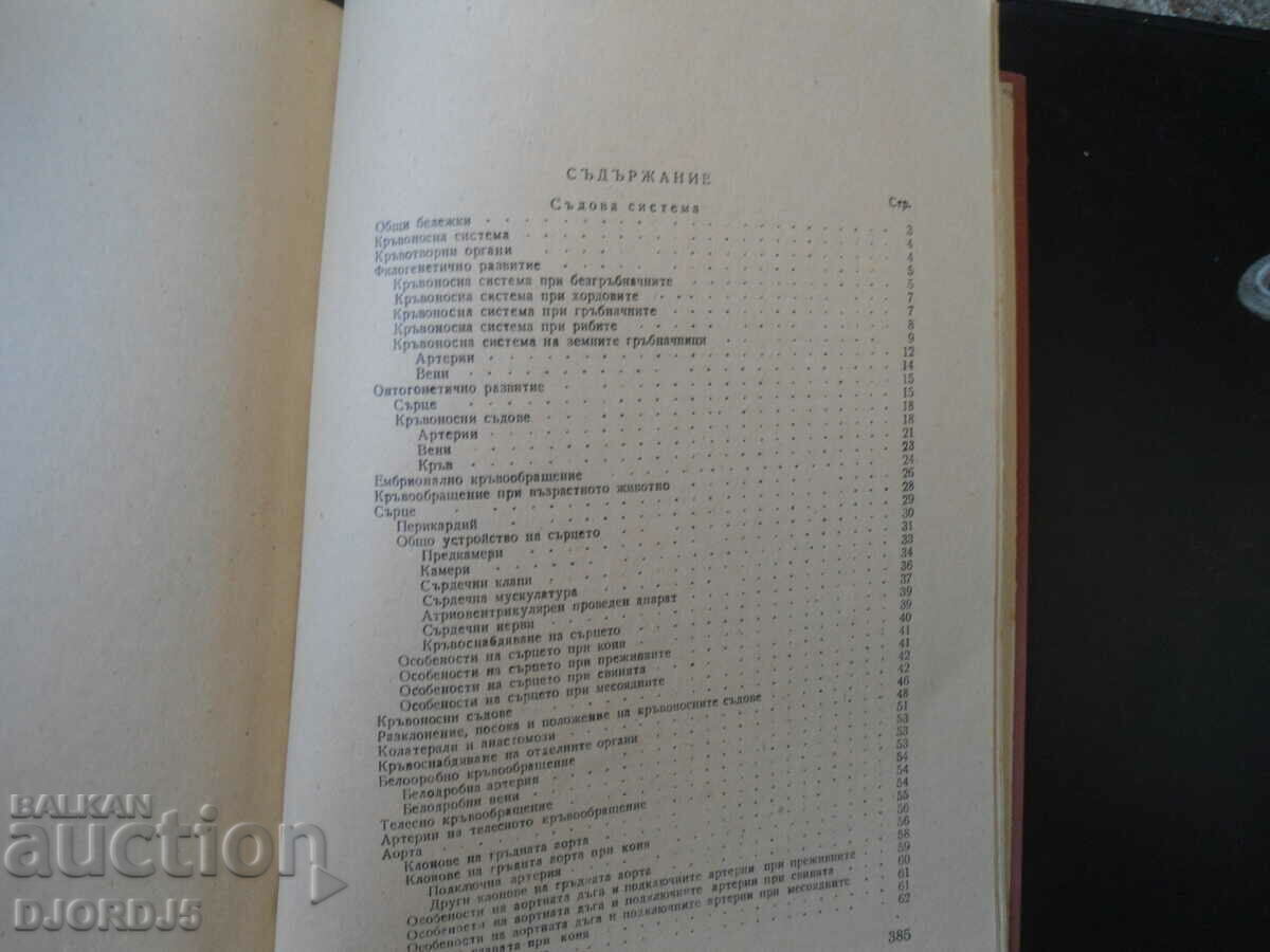 Auction Anatomy of Domestic Animals, Volume 3 Auction Anatomy of Domestic Animals, Volume 3