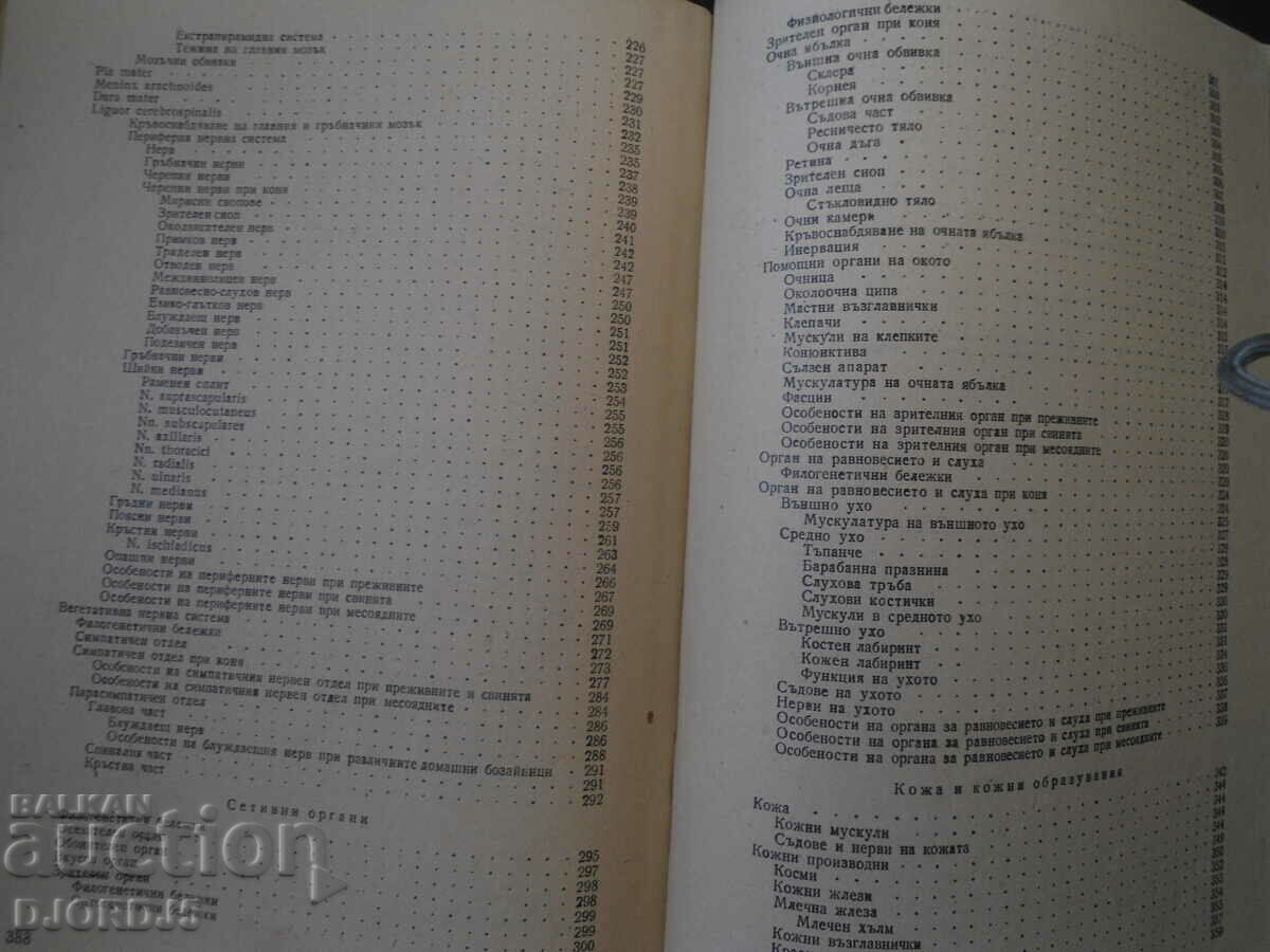 Anatomy of Domestic Animals, Volume 3 - 5 Anatomy of Domestic Animals, Volume 3 - 5