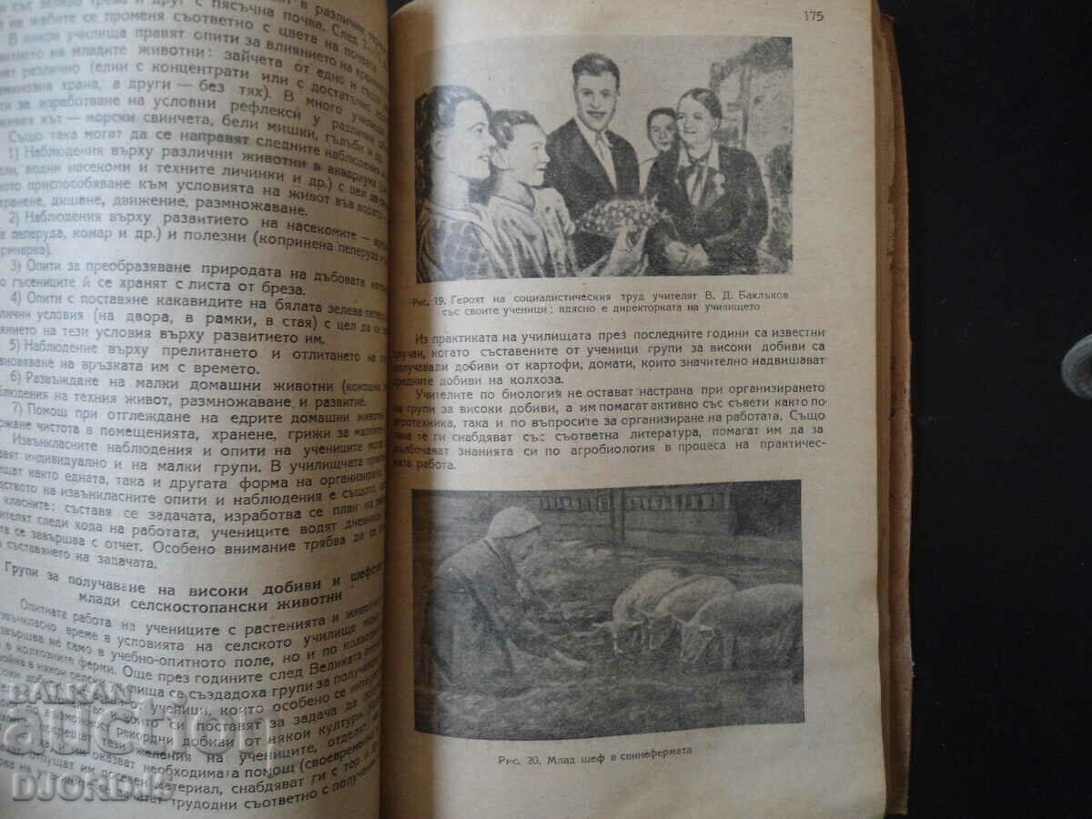 Auction Methodology of teaching NATURAL SCIENCE, for Ichitelsk. institute Auction Methodology of teaching NATURAL SCIENCE, for Ichitelsk. institute