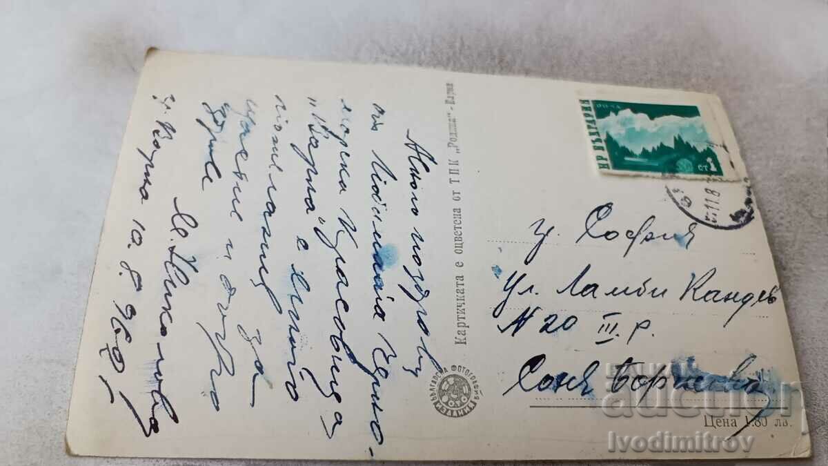 Пощенска картичка Курорт Варна Сладкарница Албатрос 1962 с цена 2.35 лв. | € 1.20 Пощенска картичка Курорт Варна Сладкарница Албатрос 1962 с цена 2.35 лв. | € 1.20