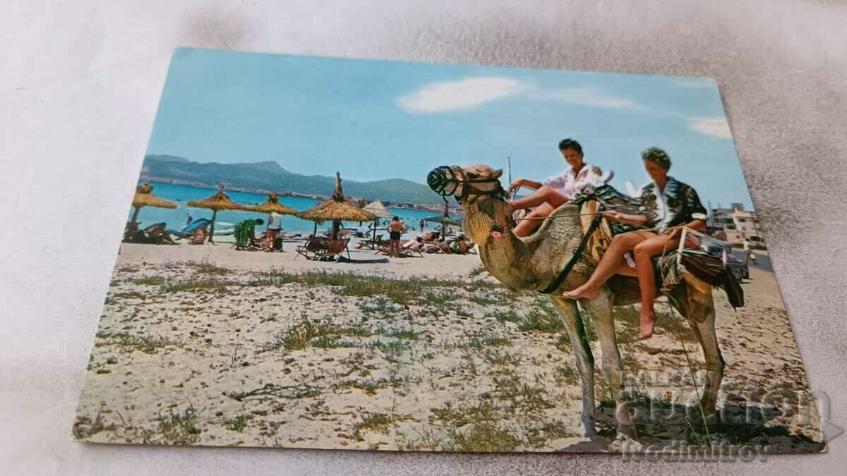 Пощенска картичка Mallorca Playars Arenal