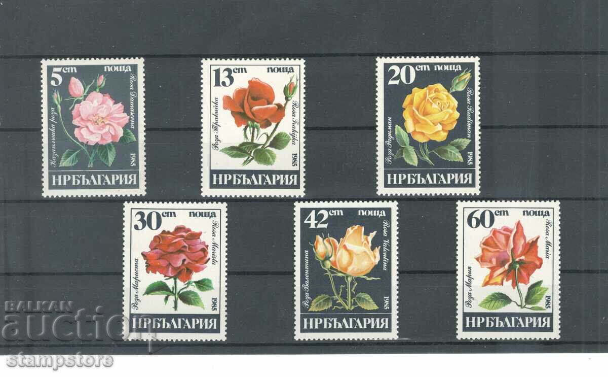 Βουλγαρία - Τριαντάφυλλα