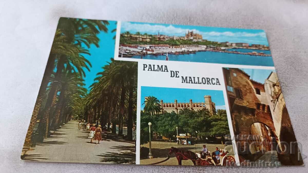 Пощенска картичка Palma de Mallorca Колаж