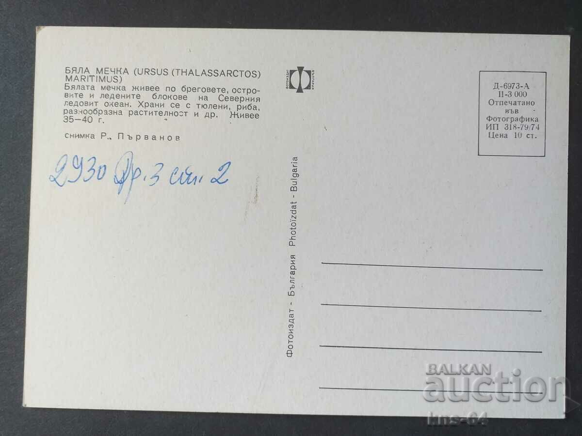 λευκή αρκούδα με τιμή 0.80 BGN | € 0.41 λευκή αρκούδα με τιμή 0.80 BGN | € 0.41