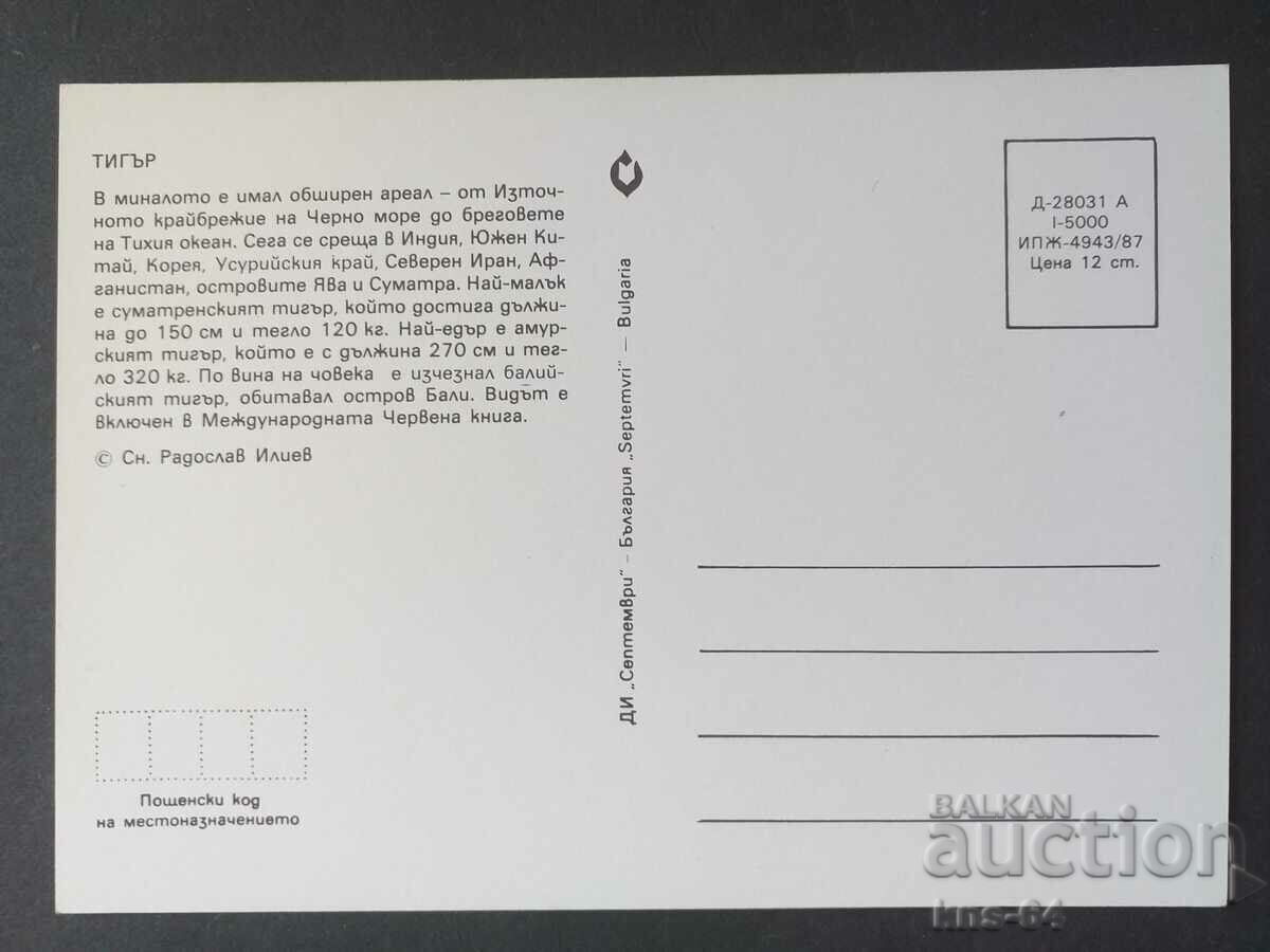 Тигър с цена 0.90 лв. | € 0.46