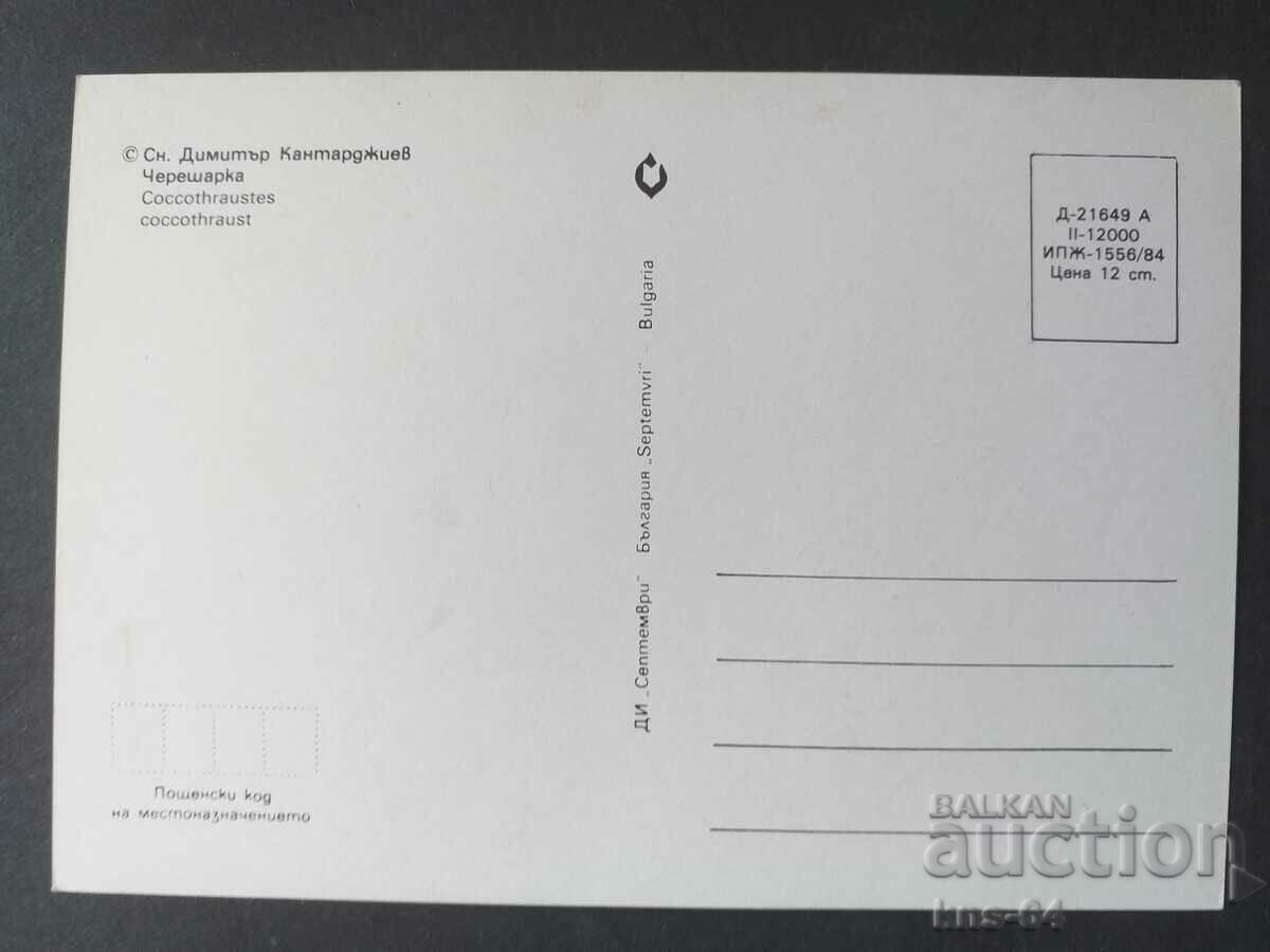 Картичка България с цена 0.80 лв. | € 0.41 Картичка България с цена 0.80 лв. | € 0.41