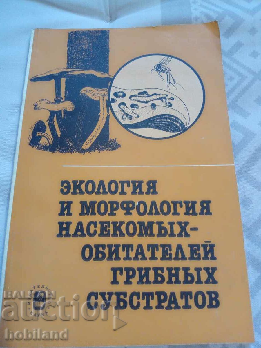 Ανατομία και μορφολογία εντόμων που κατοικούν σε μύκητες Ανατομία και μορφολογία εντόμων που κατοικούν σε μύκητες