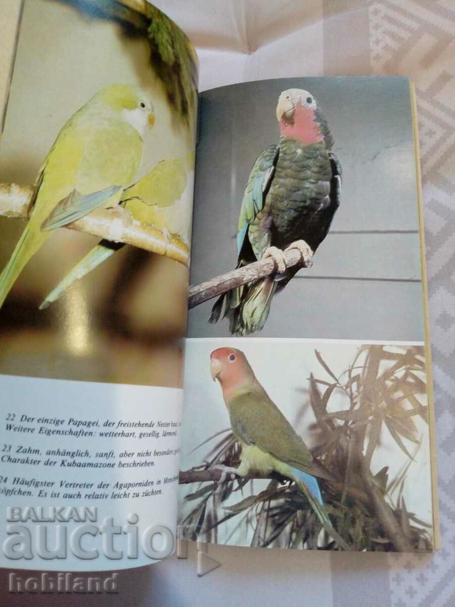 Птици в дома с цена € 2.50 | 4.89 лв.