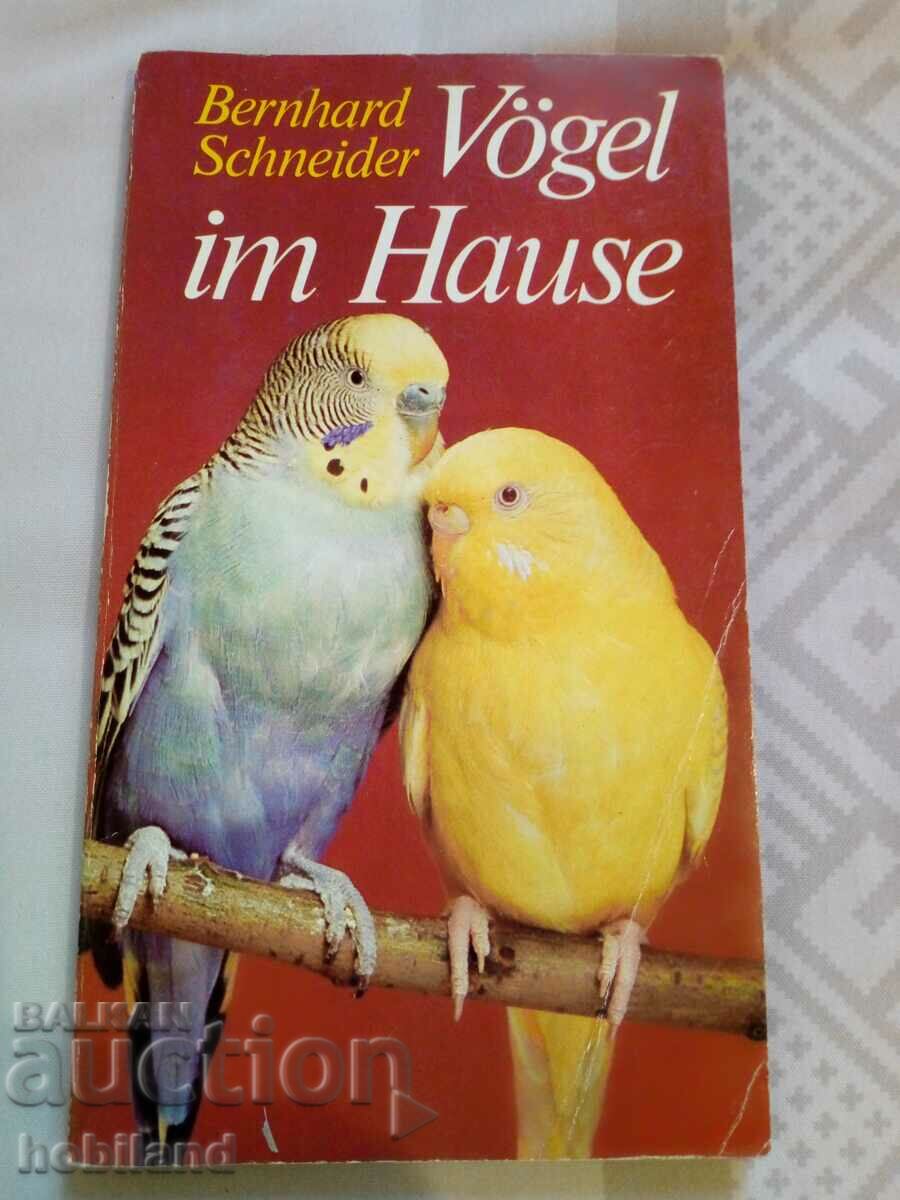 Birds in the home